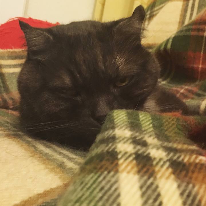 F0a4213e dade 451e 8598 a20228153de7 1560446585068