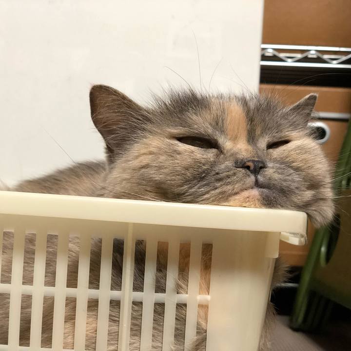 F0a43c28 4f8c 465d ae7b 71ad493f49f4 1691150929297