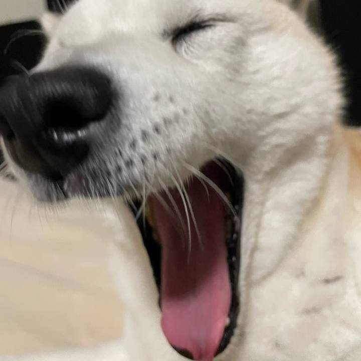 F0a44bae 0fe6 420b a4d1 7cb2cfc12937 1671923597300