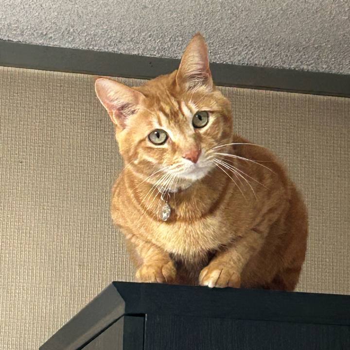 F0a4c9db d507 4e77 81ea 75420541f813 1710663791634