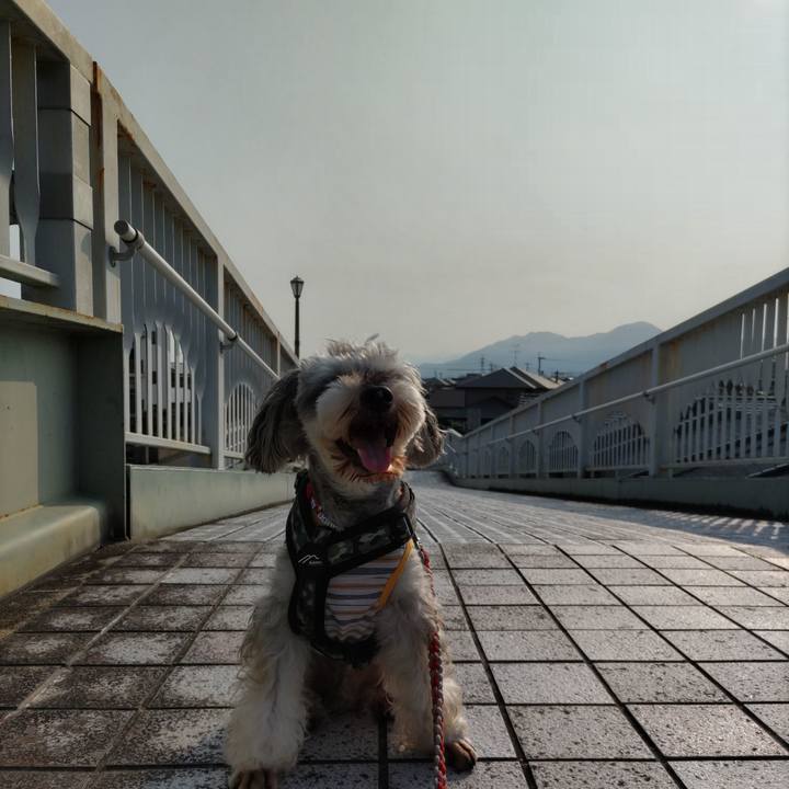 F0a4fc98 0352 4365 a6a1 91cb45126ffd 1725342681882