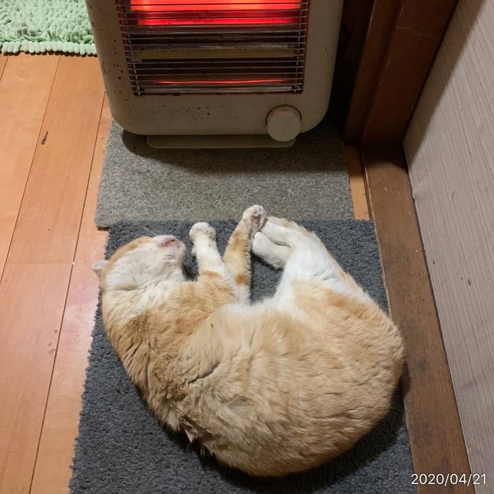 F0a519cb e2d4 4173 a57c 2594d65fb64c 1587479238264