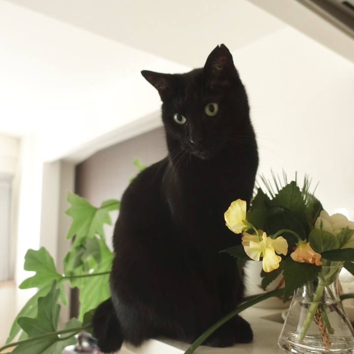 F0a52c5b 2c83 46fd 9f30 0366d89a7d25 1577882668849