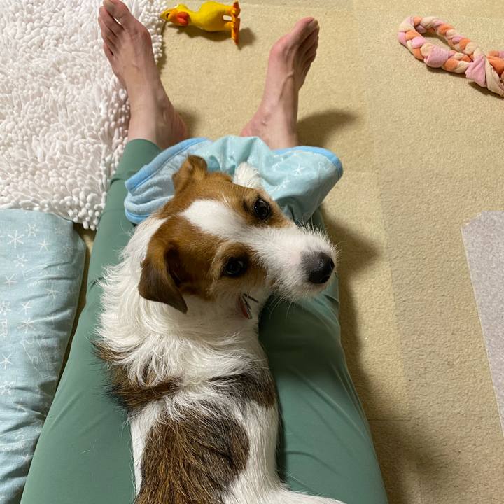 F0a53d1a e075 4a7d 9a18 eb9bc1871721 1696249521349