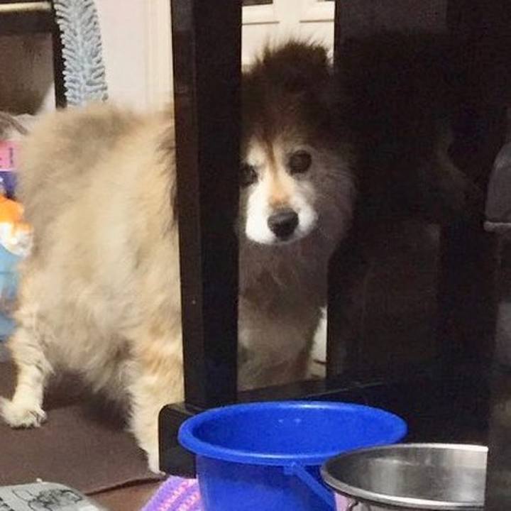 F0a54867 a746 499b af35 0954c7523bf3 1650955751599