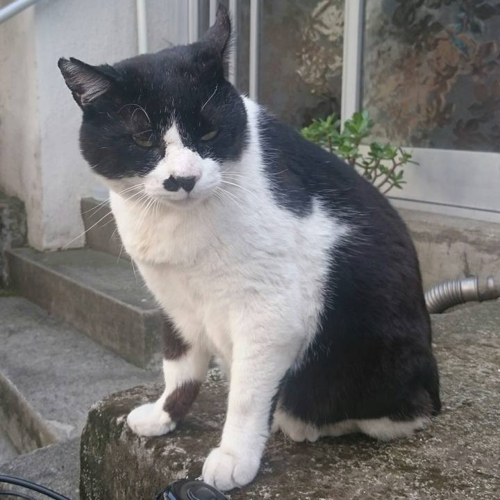 F0a56cbc 4534 4523 8aee ba3a49e109a8 1524974133549