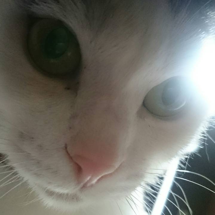 F0a56e6b d59e 4171 a427 a8220f5713b6 1511383978115