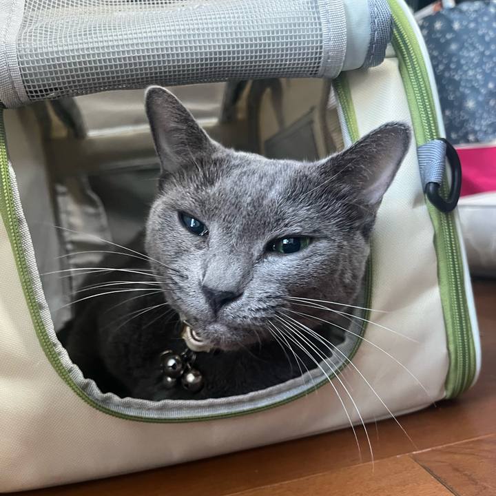 F0a5723e 0c1d 43bf 8a7e 814a545041ec 1726031028918