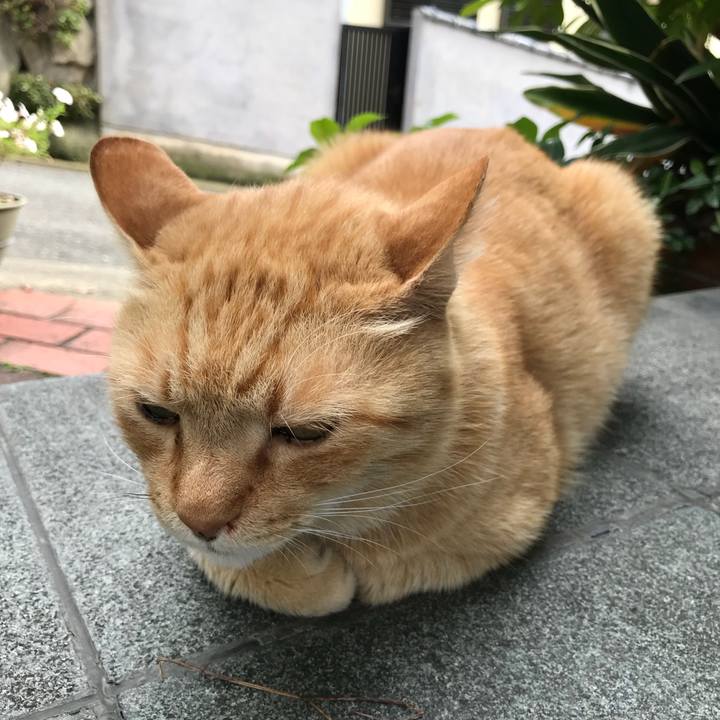 F0a58468 e7bb 4ce3 bfbe 833954b68aea 1529669309381