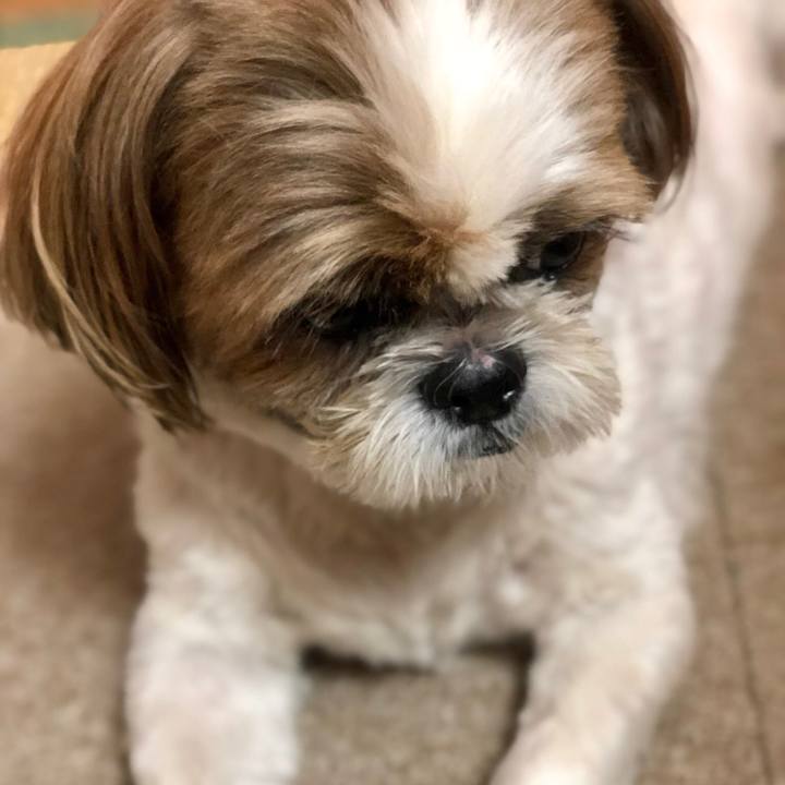 F0a59852 66e6 4948 b924 b7092121ef34 1535160750022