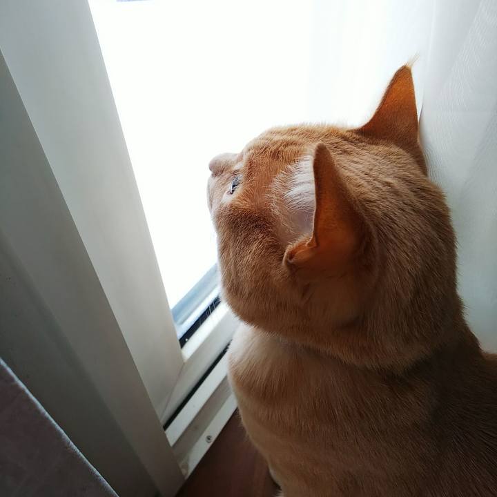 F0a59d28 c996 4c76 91a8 564d87f56b2d 1579388822497