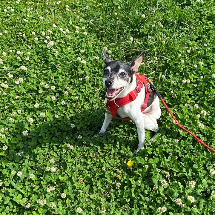 F0a5b40e 73b6 4df5 9bf2 51ab93783f0f 1620520674330