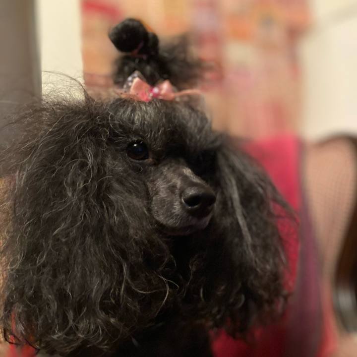 F0a5d185 760f 4db3 a06c b2b7f55edf20 1686309780449