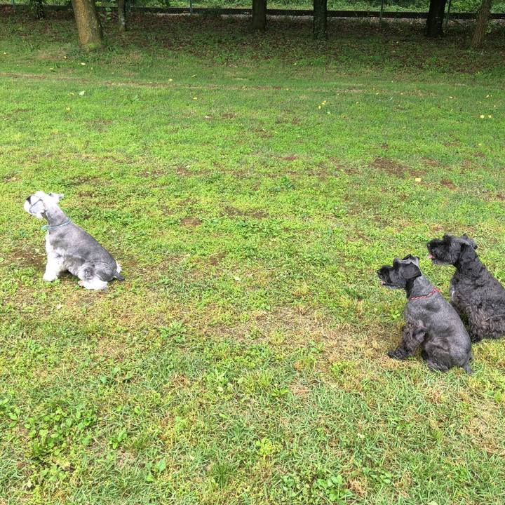 F0a5d2bc 196c 4433 aaa7 68e33316ec4f 1529814569402