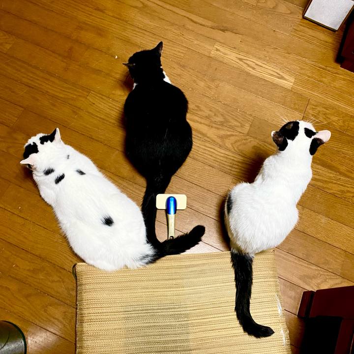 F0a5dfa1 7f6e 4822 b3c0 07172167f512 1657200032542