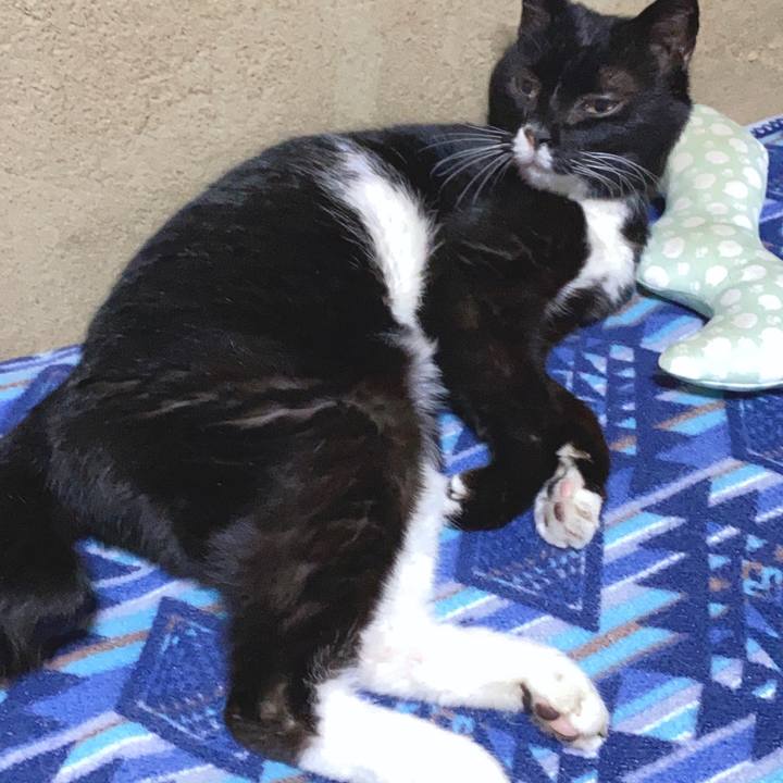 F0a5e1d6 f99f 4f90 9353 59681b5ce9a2 1589806769614