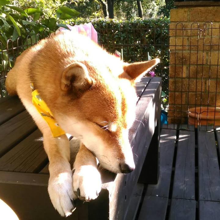 F0a5e848 c303 40e3 8ea4 c07b382121e2 1511266217988