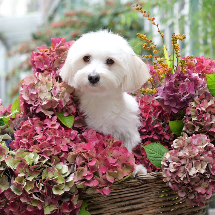 F0a622ff 192b 4cd2 9cd2 955bb837ca79 1761207706728