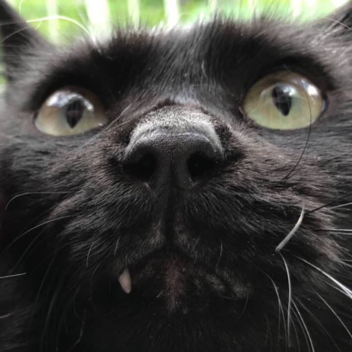 F0a635d9 32dc 47e3 832b fcf348a9dcf7 1537699055058