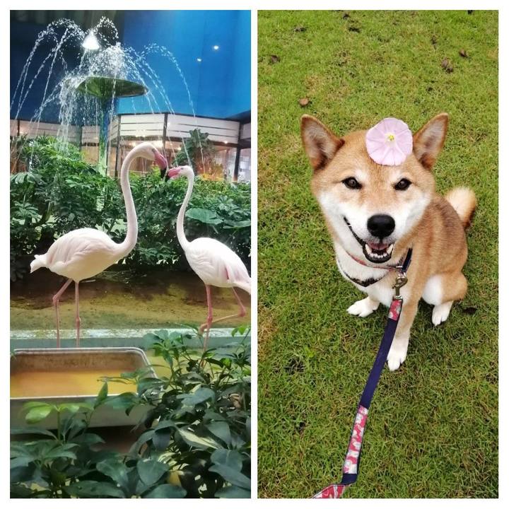 F0a64999 ff9b 407f aa85 64eb7e689b49 1595756390307