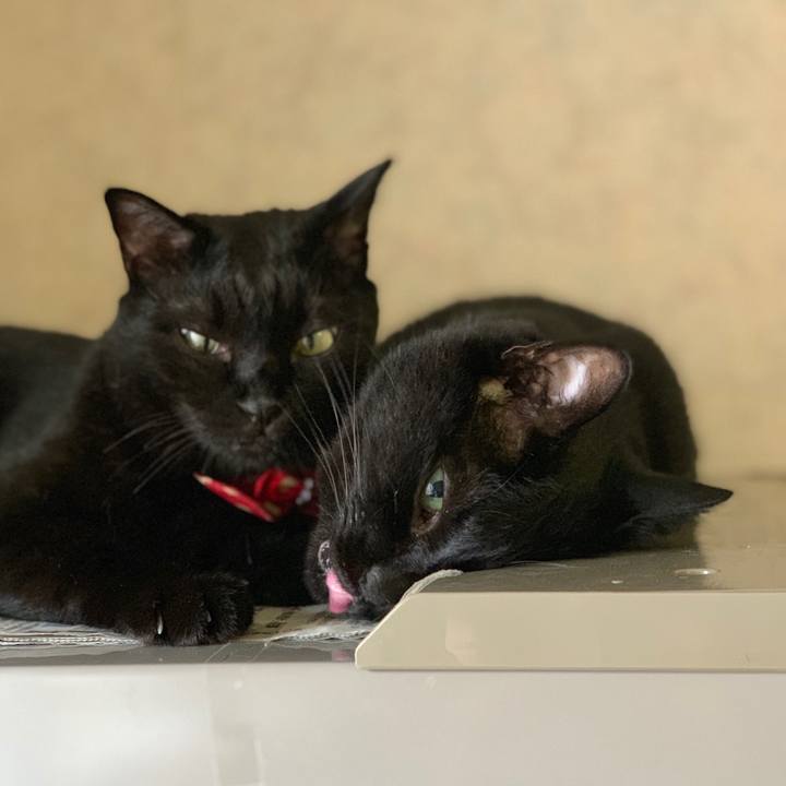 F0a6f68c e84f 4c86 bf8a d2573a77299a 1562196782096