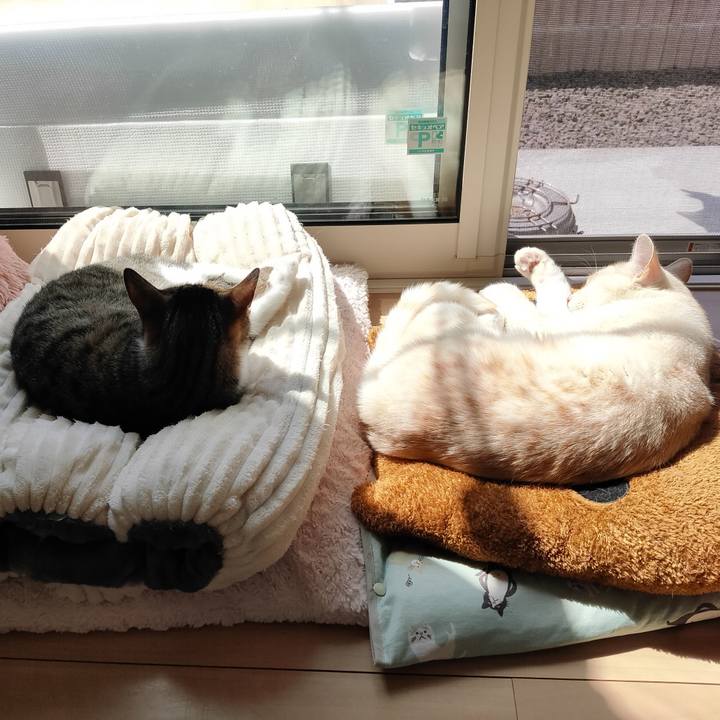 F0a7050d a73c 4749 810d b36bfb41d00d 1683160118368