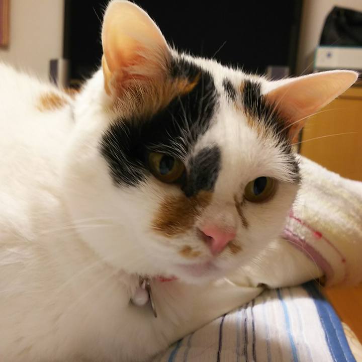 F0a74741 2135 4dfc bd57 1906d0d9ef7d 1528807034596