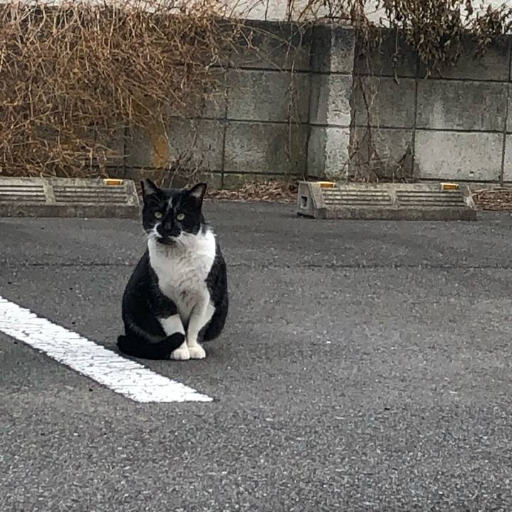 F0a75078 2549 48cf 9a80 9010462c2bf5 1617086623484