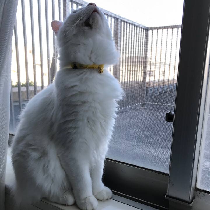 F0a75843 e3c8 4ec8 a02d 52759954f692 1524716689871