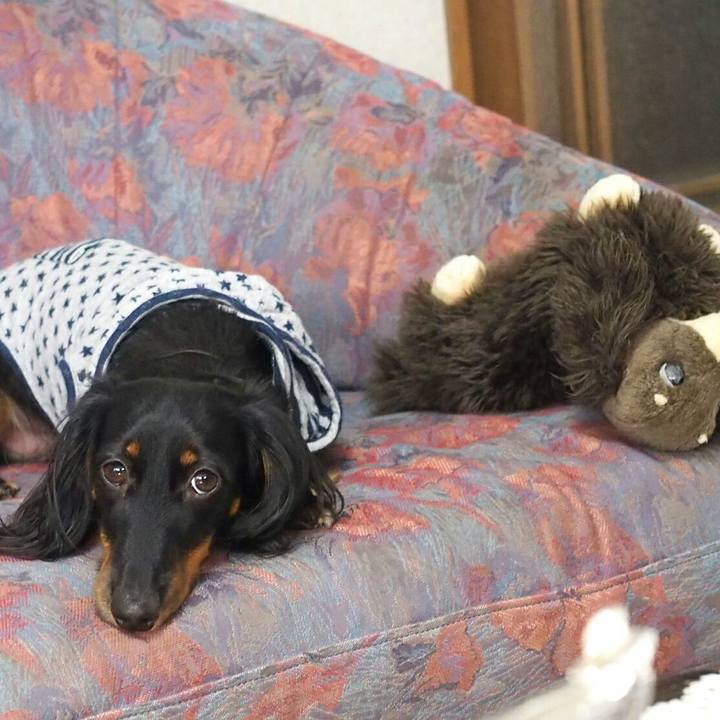 F0a758cc aeb5 4cc9 800c b111b3c68d83 1509499546191