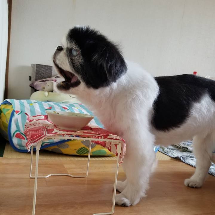 F0a75e41 5da8 407e 864d e4df5299920c 1621740464013