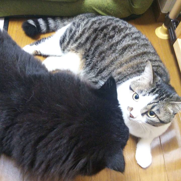 F0a77e60 1714 4aab 8dc2 18165f10ed8d 1657961944280