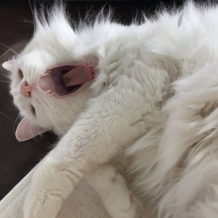 F0a7d564 2741 4322 9dc2 d3ecdf9a7062 1555886238558