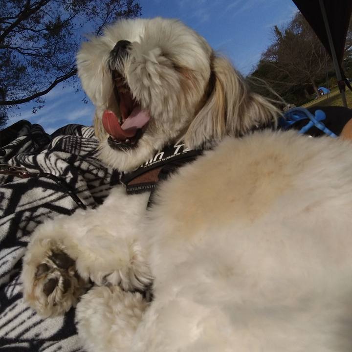 F0a7de0f cff8 4cbe 964e dc5e7bee6432 1636351836538