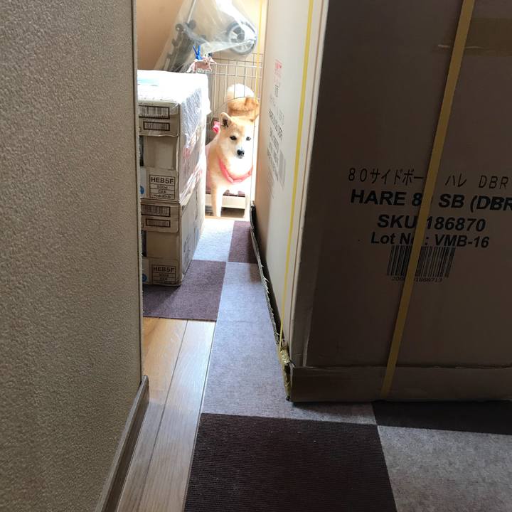 F0a7e215 1166 47a7 a710 8c4151338149 1531377039270