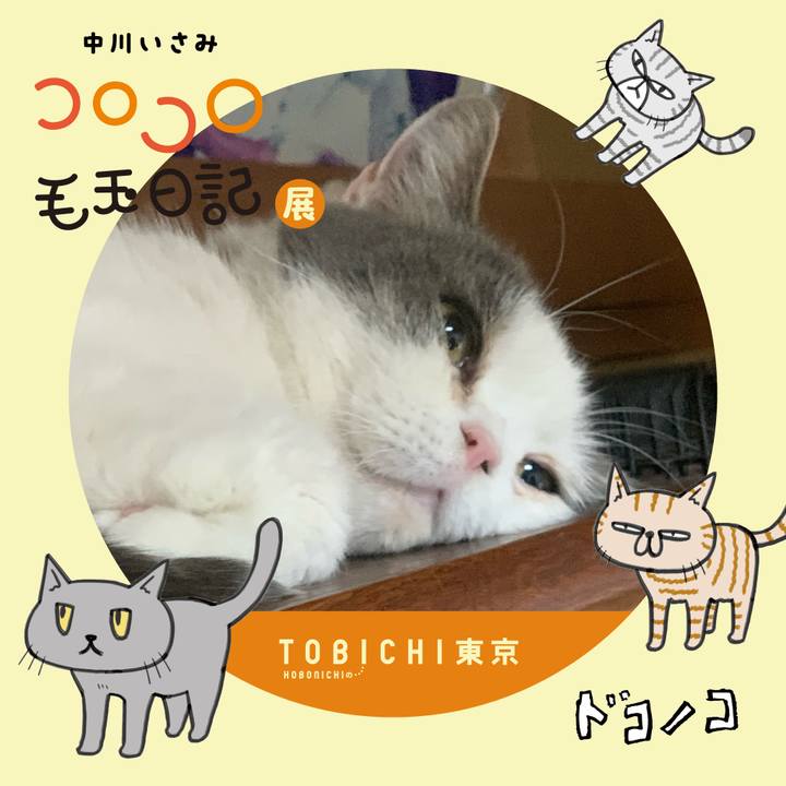 F0a7eed1 9924 4fd7 aca6 4de1af45cd7b 1740141939227