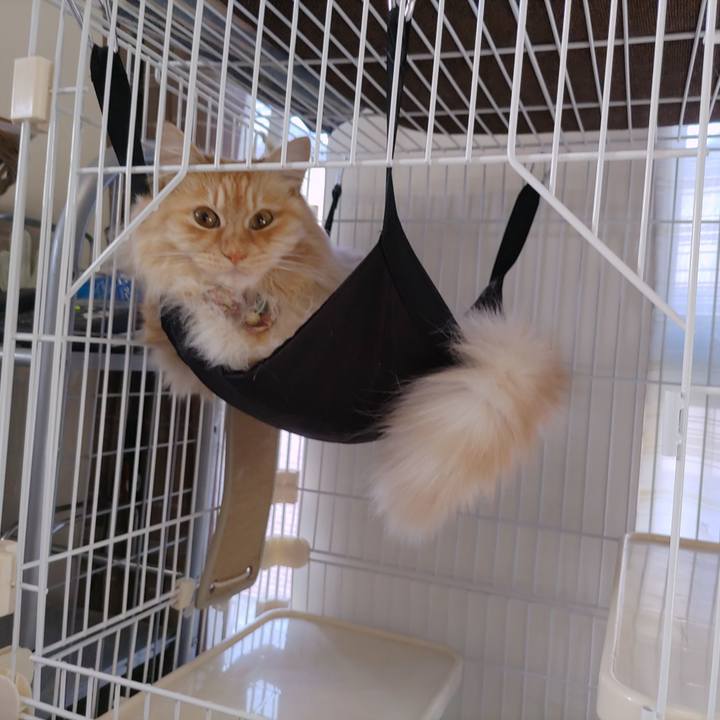 F0a7f03d 2f25 4252 bf1b a8ab28d5711a 1681337668661