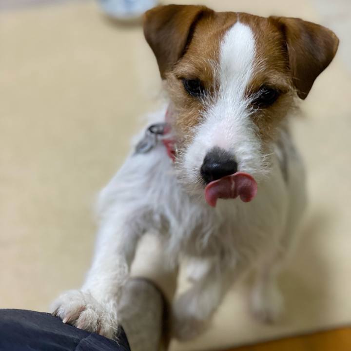 F0a8079a 8702 4cec 8bdc cfb6ea9e6ee4 1644235014617