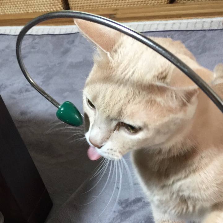 F0a822af b65d 448b ab27 e828d7909cbf 1536019080114