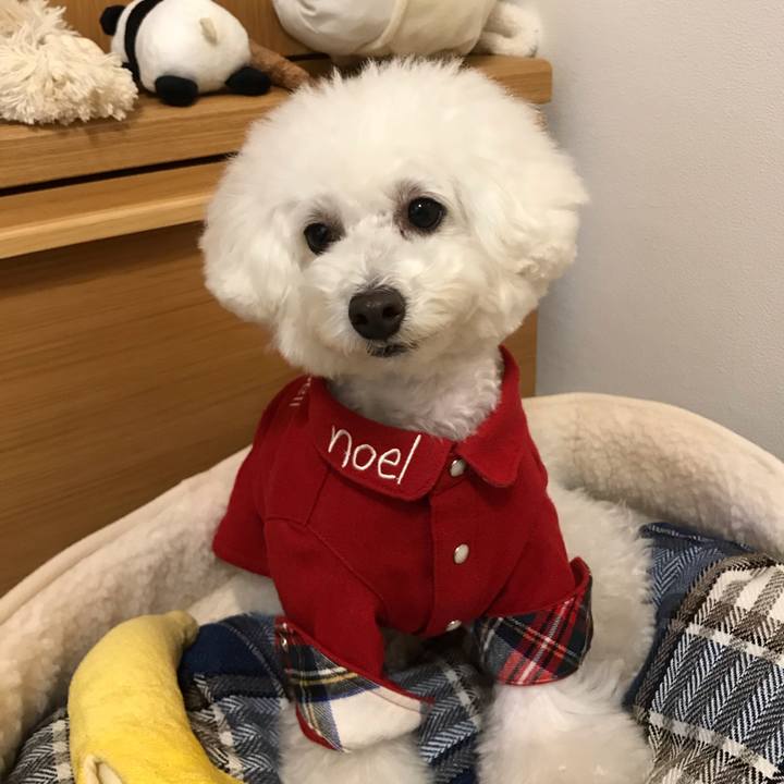 F0a835b8 4655 4e08 b450 a3154da1c5c1 1547105046116