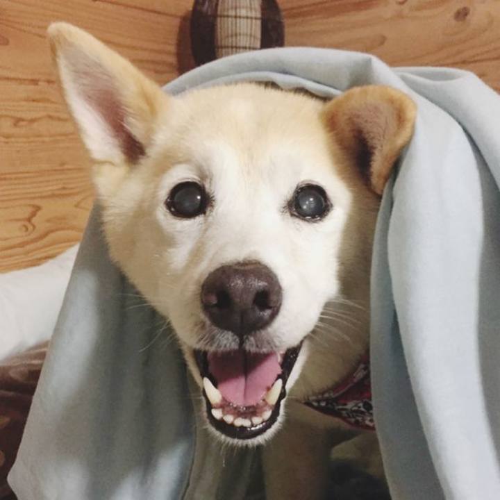 F0a854d6 befc 47ff bb6d 8e7b3c5200f8 1586137371459