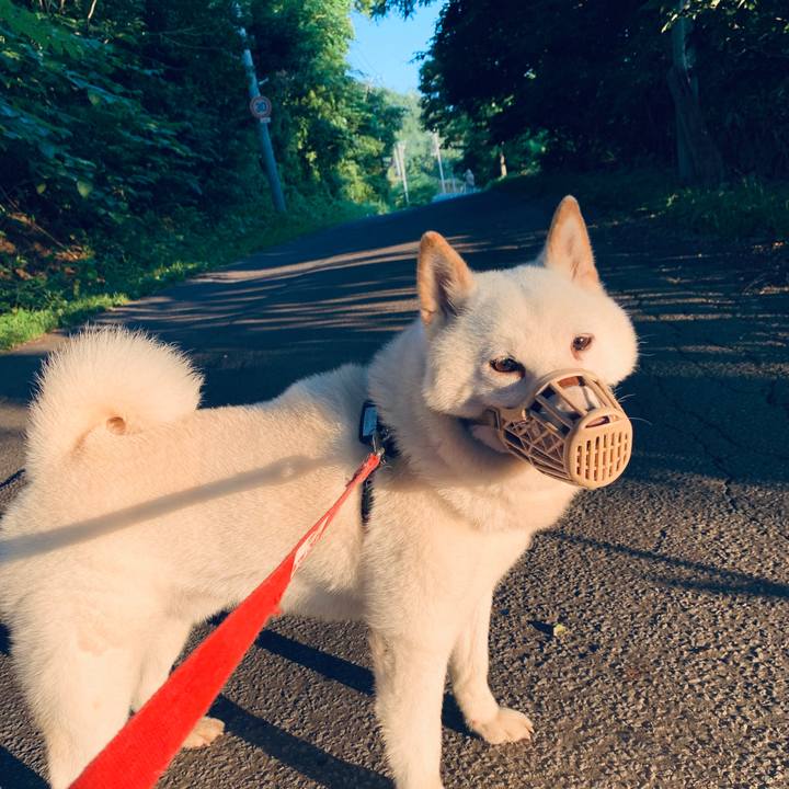 F0a856ee 86c5 4dc4 9a89 b990367496a2 1596229422633