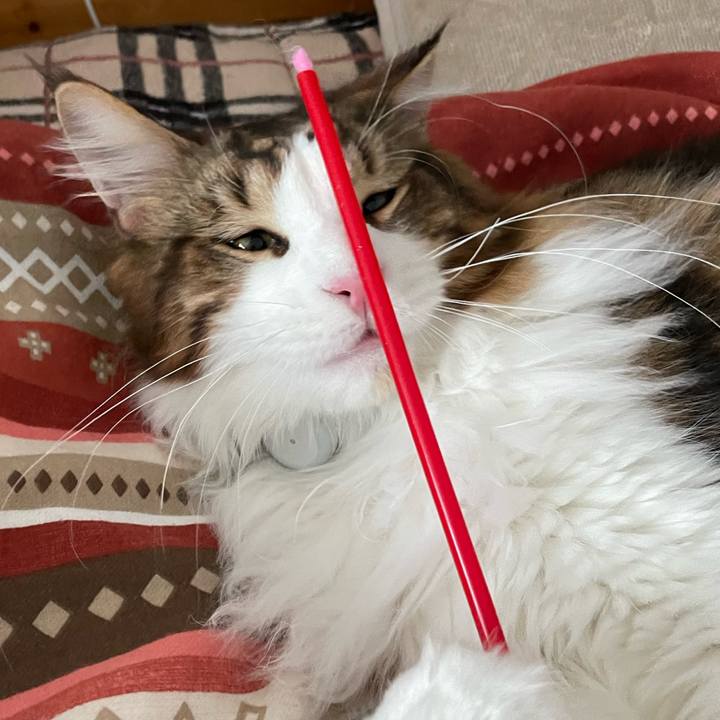 F0a88c1c 11ec 463f a8c0 9b209571d35b 1648760686340