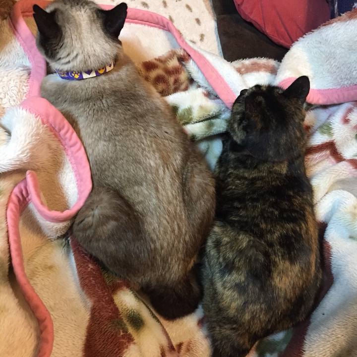 F0a8a790 ccb9 437b a25c fe8091a42133 1519215455969