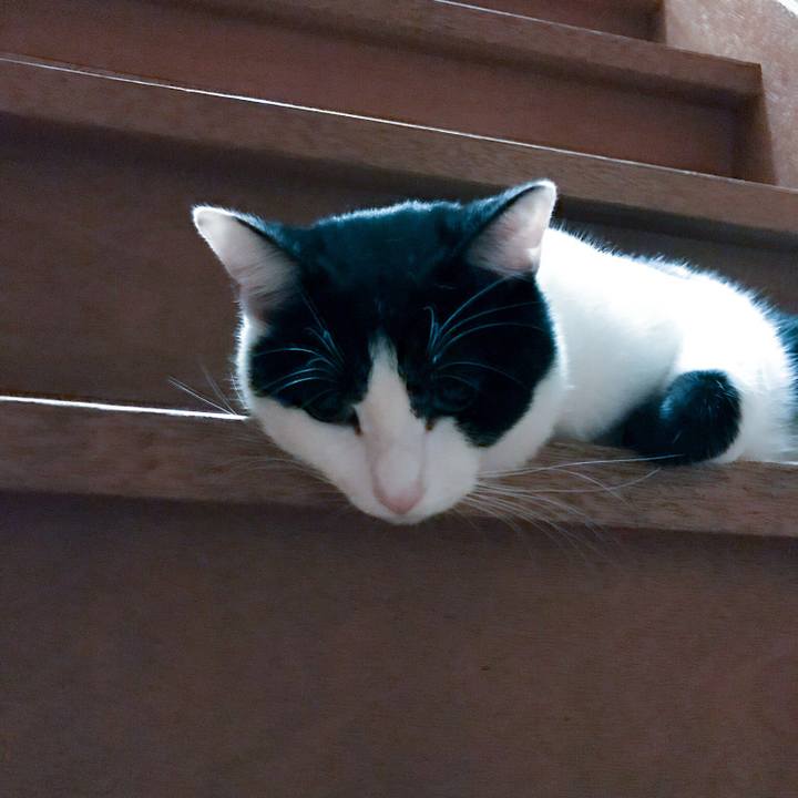 F0a912d9 9833 40f3 9370 d1596f30d14b 1510748411358