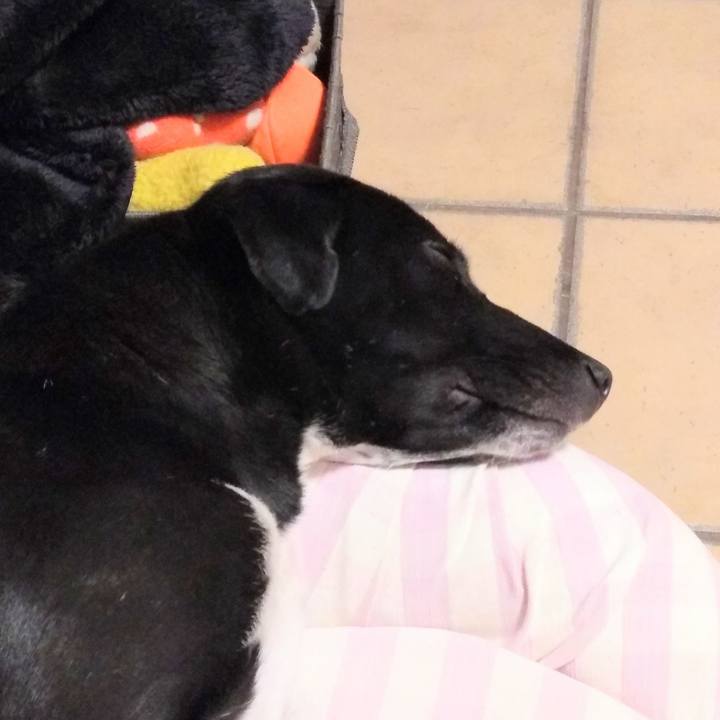 F0a9273f 2827 4a34 8e0e bc5e30925090 1582125774993