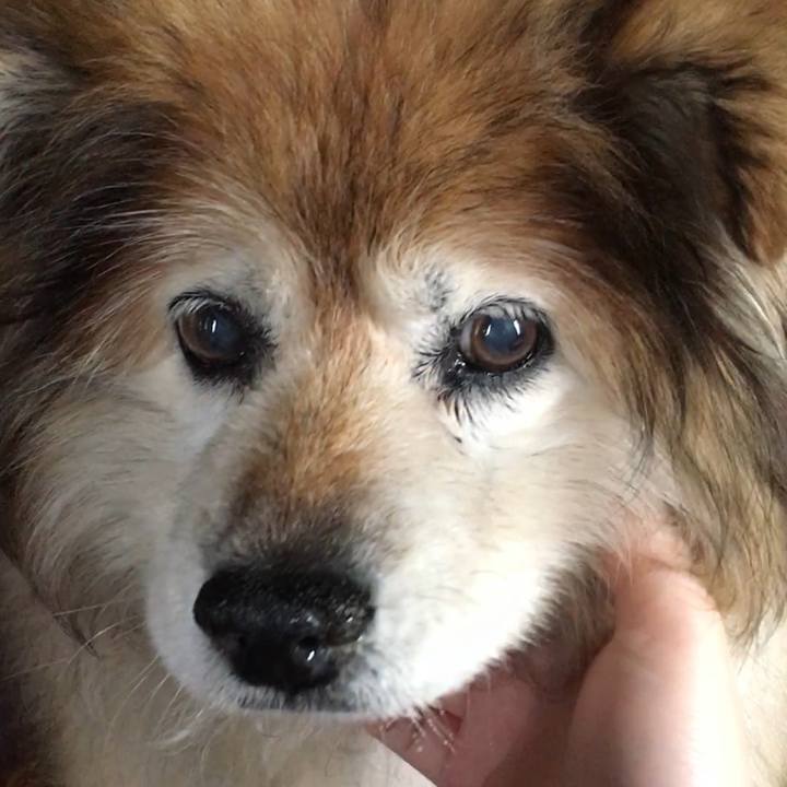 F0a95c3a bf0c 40b3 bf40 319fc2b34682 1603593380824