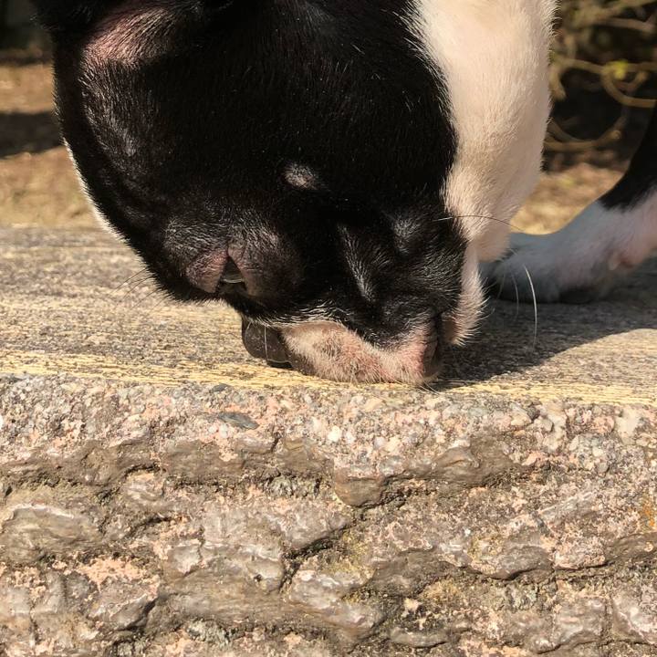 F0a960eb e396 41a0 9b2d 36b61dabc466 1521020480917