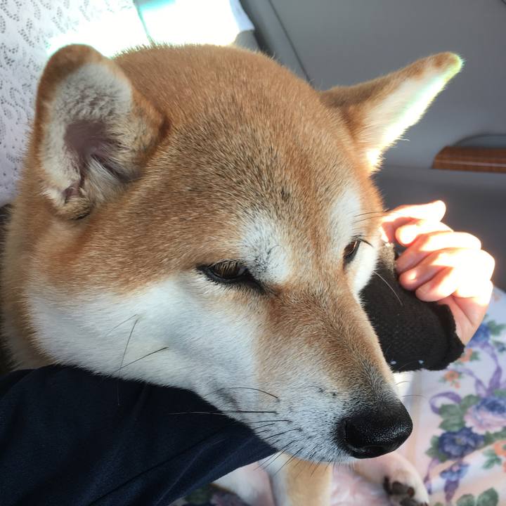 F0a96960 6e92 4891 9446 fbb5852a96de 1539074113357