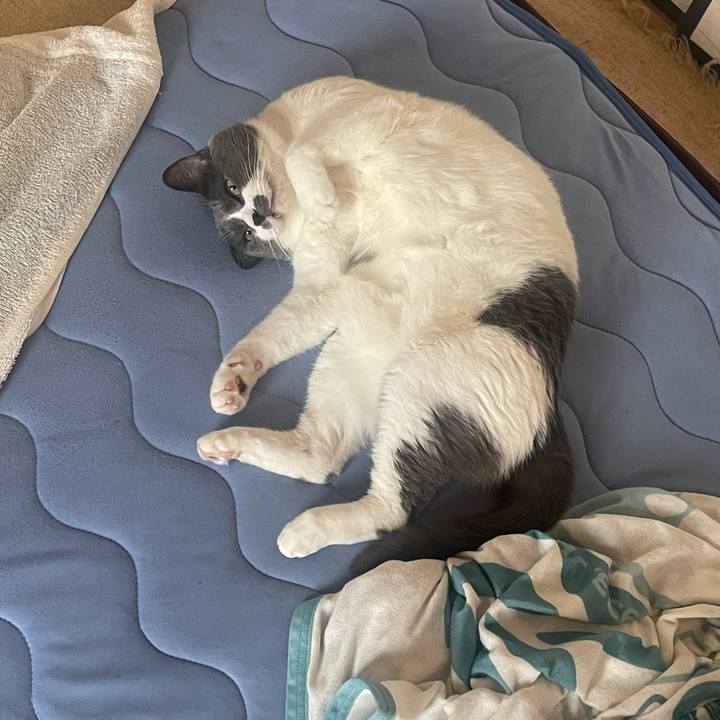 F0a98d30 a918 4609 805d 66350b48c9a9 1724724926906